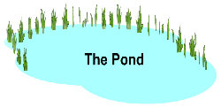 canepole001004.jpg