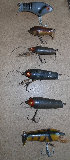 canepole003009.jpg