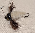 canepole006001.jpg