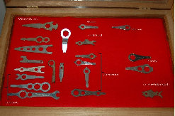 canepole024019.jpg
